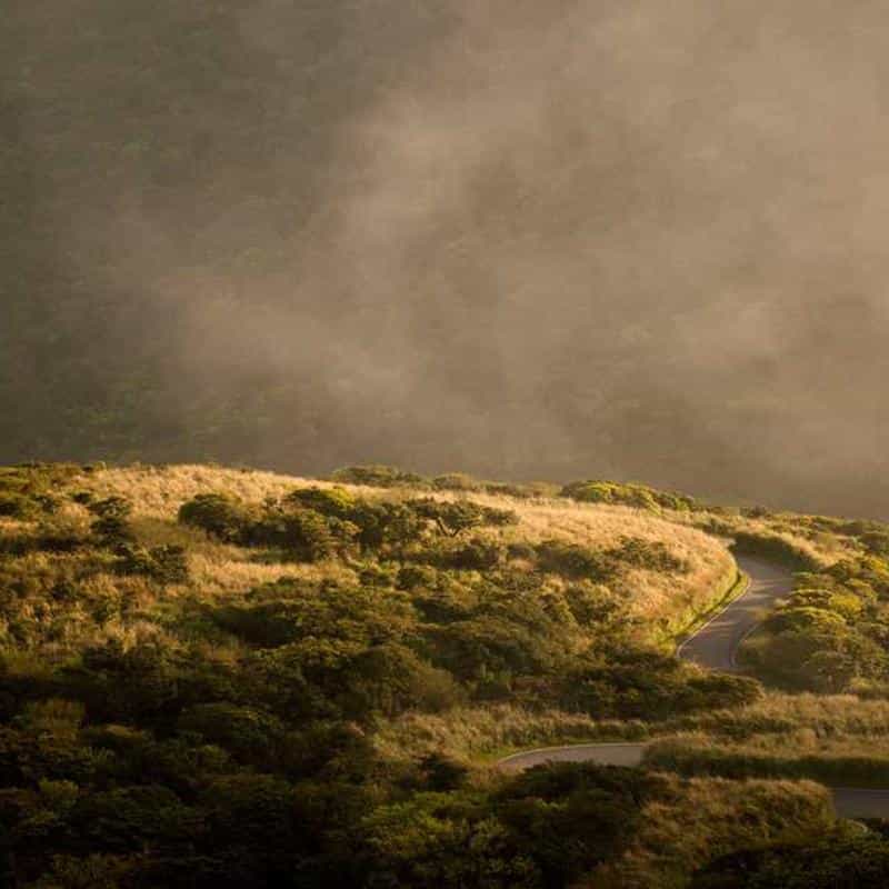 Radieră pentru încălțăminte Eraser 4