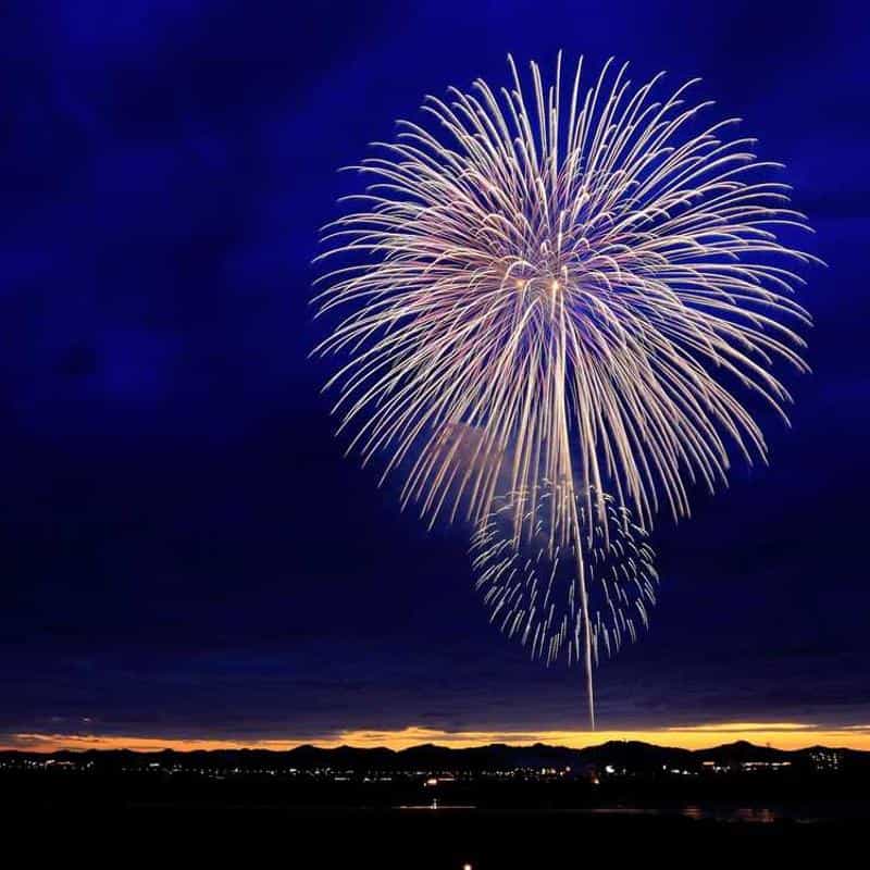 Calapod Crep Protect Trees 2