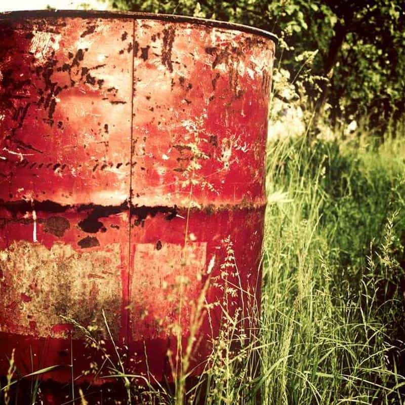 Calapod Crep Protect Trees 3