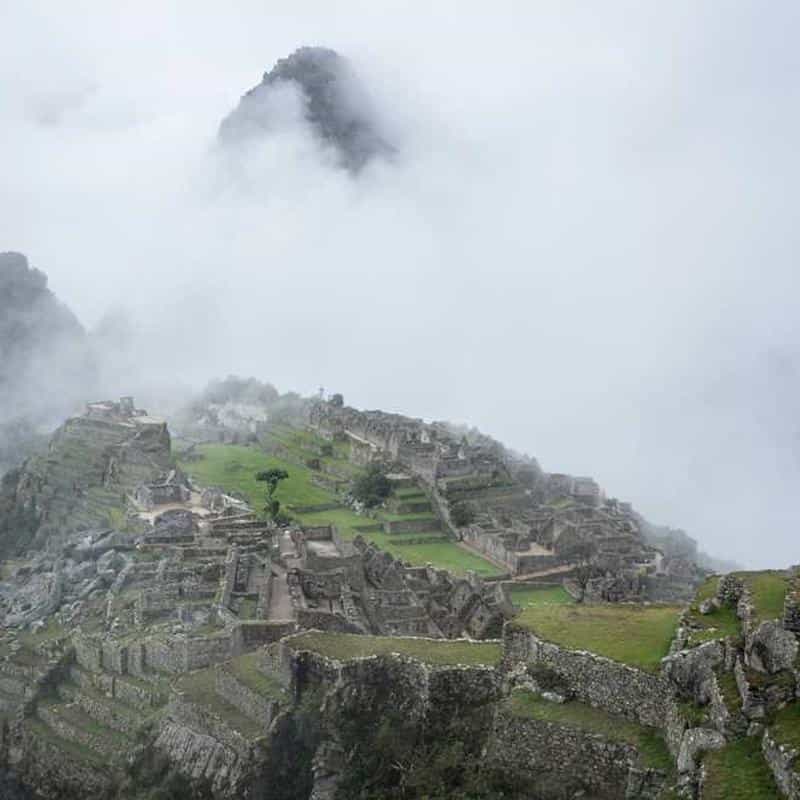 Set de călătorie pentru întreținerea încălțămintei Cure Travel Kit (Glass Bottle) 3