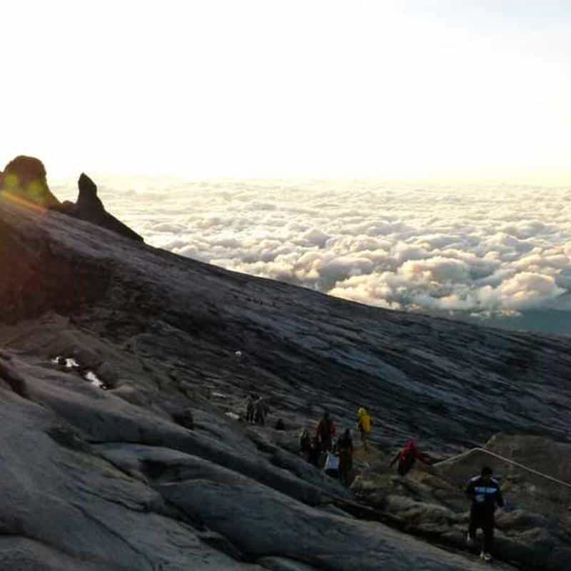 Tălpi interioare pentru încălțăminte Insoles (Sport) 2