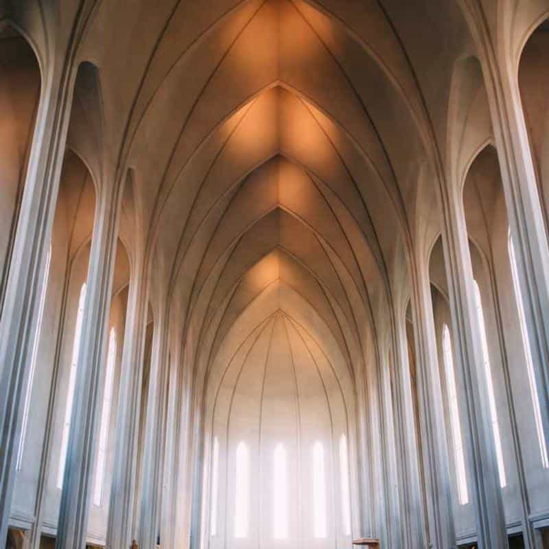 Șervețele pentru încălțăminte Wipes: Biodegradab Le (12 Pack) 3