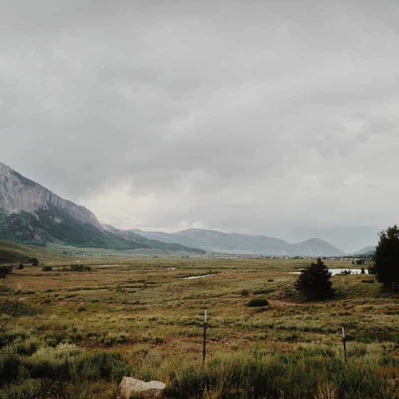 Șervețele pentru încălțăminte Wipes: Biodegradab Le (12 Pack) 4