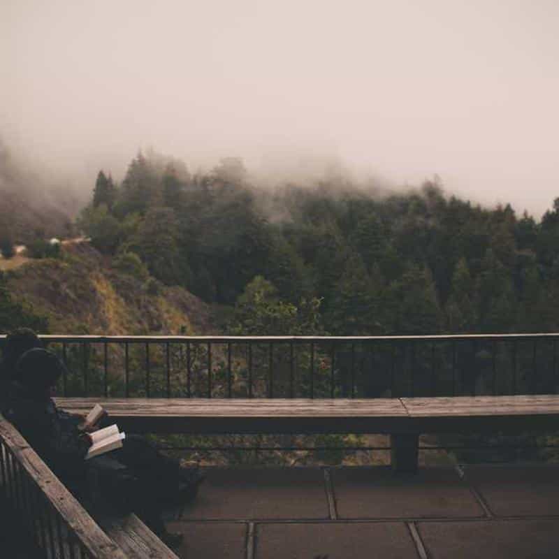 Deodorant pentru încălțăminte Deodoriser: Vanq (Euro) 3