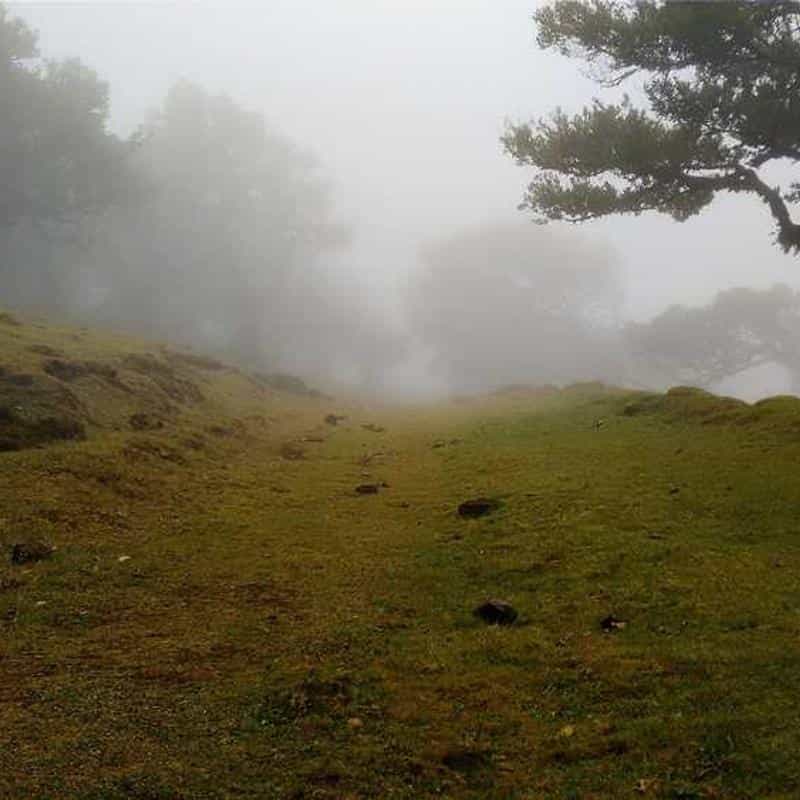 Deodorant pentru încălțăminte Deodoriser: Vanq (Euro) 4