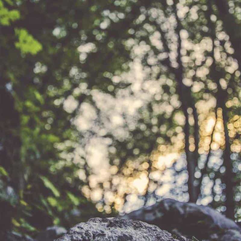 Inserții de protecție pentru încălțăminte Guards V3: Small-Medium 6