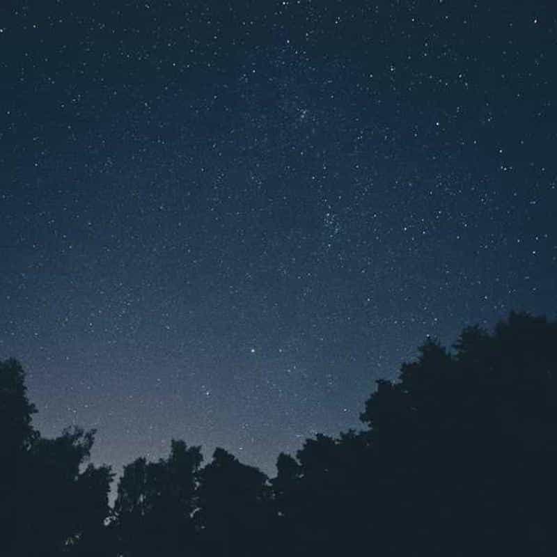 Șireturi pentru încălțăminte Laces: Wide Black