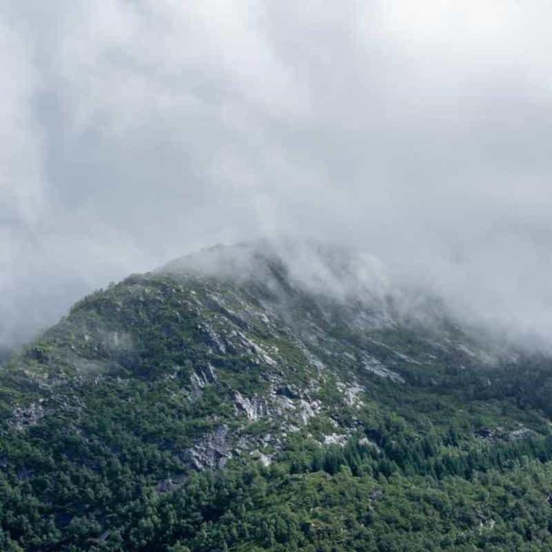 Marker pentru restaurarea încălțămintei Mark On Pen: Black (Upc)