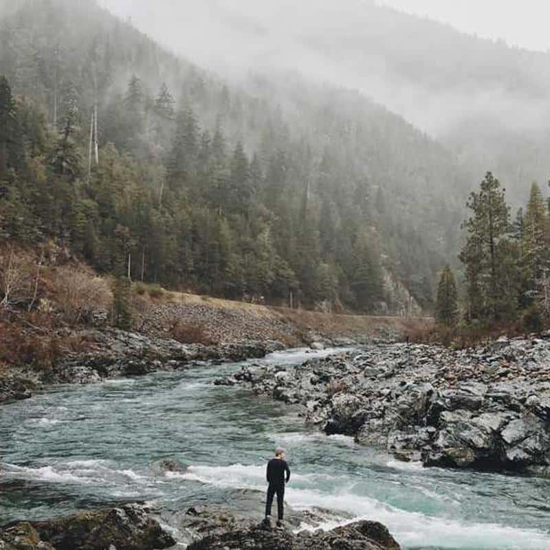 Tălpi interioare pentru încălțăminte Insoles (Comfort)