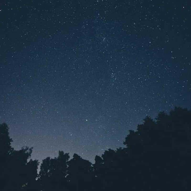 Șireturi pentru încălțăminte Laces: Wide Black