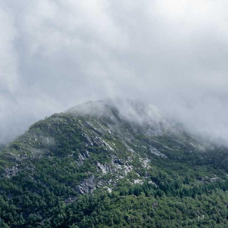 Marker pentru restaurarea încălțămintei Mark On Pen: Black (Upc)